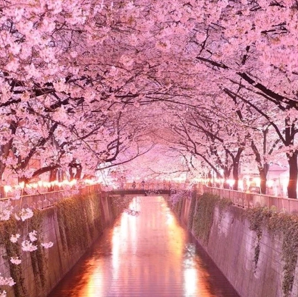 Meet your Posher, Nayyirah